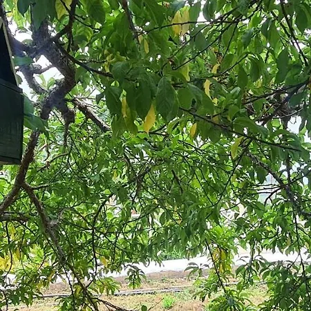 Casa Rural La Campina 度假居 *